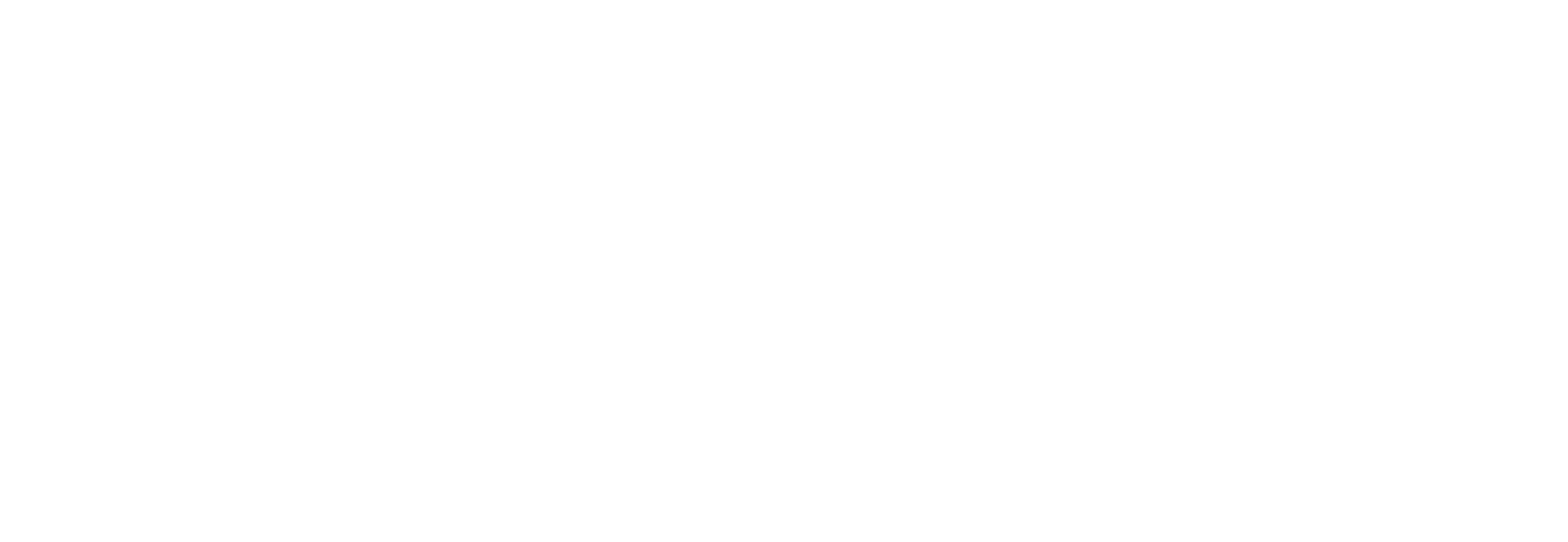 logo Skillsday
